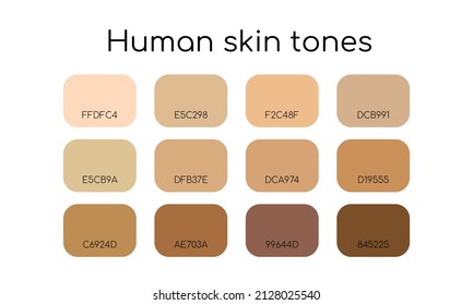 Skin Tones Palette By Color Codes. Different Types Human Skin.  Flat Icon Set. Vector  