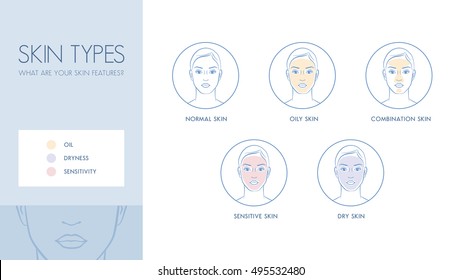 Skin types and differences, skincare and dermatology concept banner