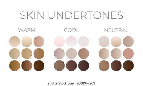 Skin Undertones Color Swatches Gradients