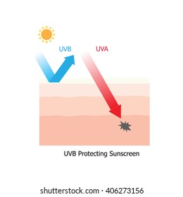 Skin with UVB tradition sunscreen protection but not have UVA protection and the demis layer of skin get damaged