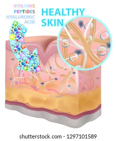 Skin, vitamins, peptides, hyaluronic acid, vector illustration. Before after
