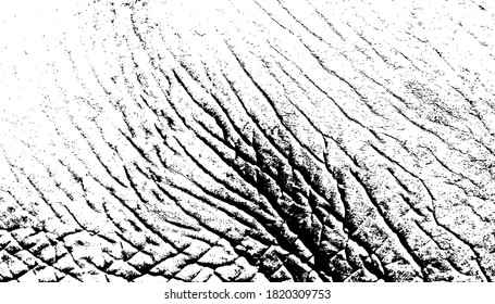 skin  and  wool  vector texture. background.