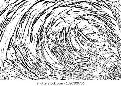 skin  and  wool  vector texture. background.