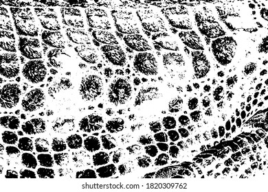 skin  and  wool  vector texture. background.