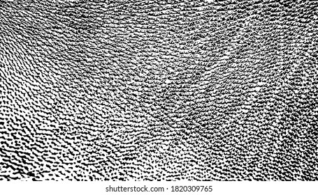 skin  and  wool  vector texture. background.