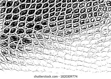 skin  and  wool  vector texture. background.