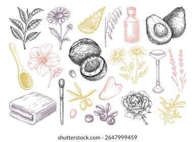 Skincare design elements. Hand drawn skin care, organic cosmetics, natural ingredients vector illustration. Beauty salon icons set. Not AI generated