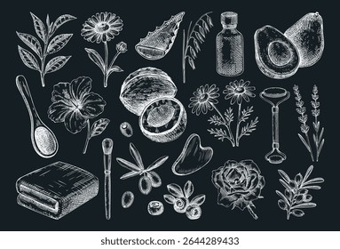 Skincare design elements on chalkboard. Hand drawn skin care, organic cosmetics, natural ingredients vector illustration. Beauty salon icons set. Not AI generated