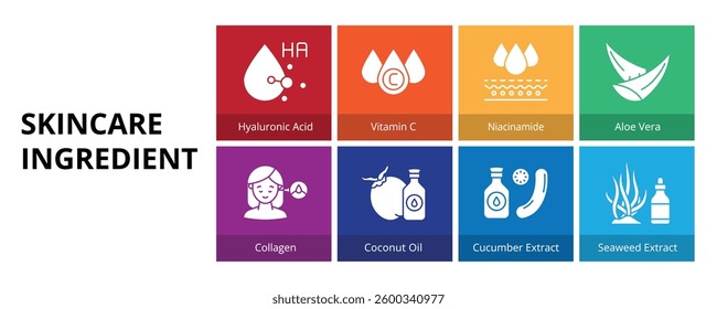 Skincare Ingredient Glyph Solid Banner Web Icon Set Vector Illustration