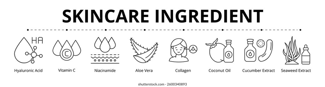 Skincare Ingredient Line Banner Web Icon Set Vector Illustration