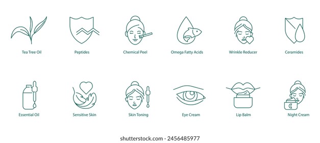 Icon Set Hautpflegezutaten: Teebaumöl, Peptide, chemische Schale, Omega-Fettsäuren, Faltenreduzierer, Ceramide, ätherisches Öl, empfindliche Haut, Hauttönung, Augencreme, Lippenbalsam