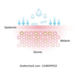 The skincare product doesn't get absorbed, that doesn’t properly penetrate into the skin layer vector on white background.