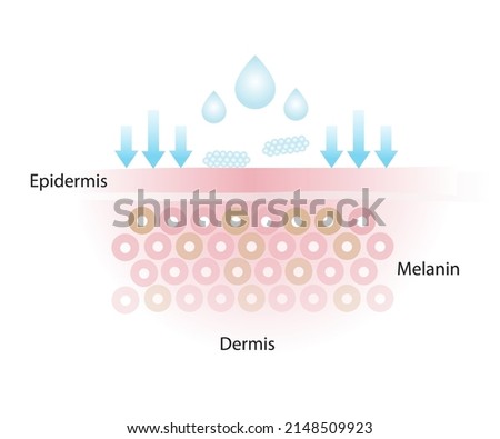 The skincare product doesn't get absorbed, that doesn’t properly penetrate into the skin layer vector on white background.