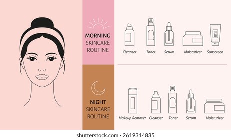 Skincare routine design. Minimalist clean infographic illustration. Vector concept design