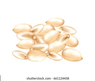 Skinned peanuts on white background