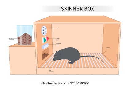 41 Skinner Box Images, Stock Photos & Vectors | Shutterstock