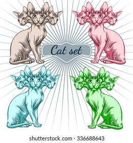 Skinny cat set.Sphinx. Colorful cats.