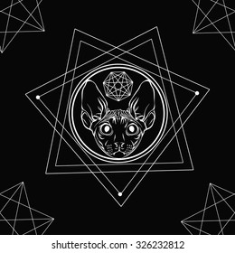 Skinny cat.Sphinx.Seamless pattern background.Black background.Ornament mandala.