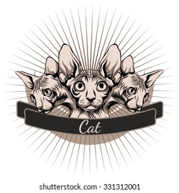 Skinny cat.Sphinx.Simple background.White background.Hand drawn.