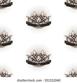Skinny cat.Sphinx.Simple background.White background.Hand drawn.Seamless pattern background.