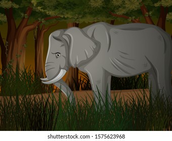 Skinny elephant in dark forest illustration