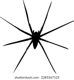 skinny spider silhouette with hairy legs