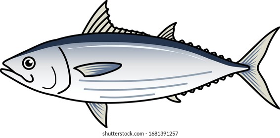 Skipjack tuna is a medium size of fish and have texture line on the side fish.