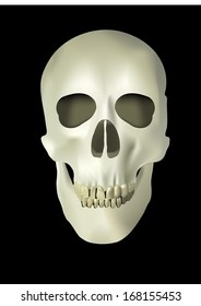 skull