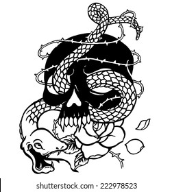 skull