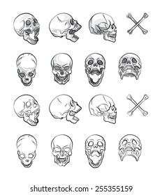 skull