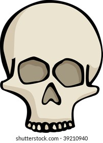 skull