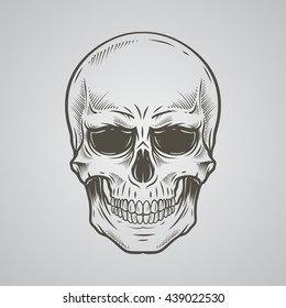 Skull