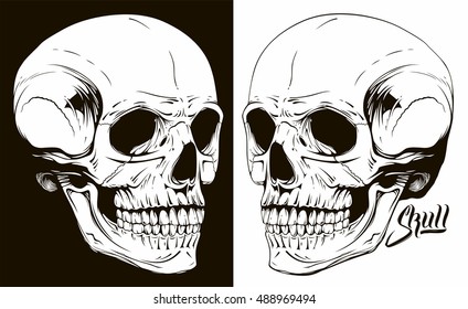 skull