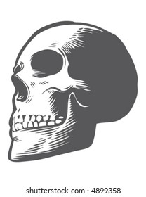 Skull