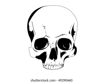 Skull