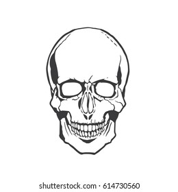 Skull