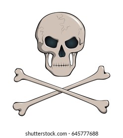 skull