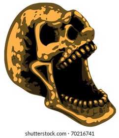 Skull