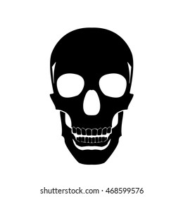 skull abstract vector illustration