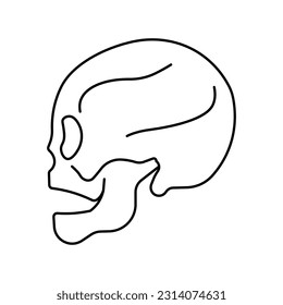 Skull, anatomy flat line icon. Human skull