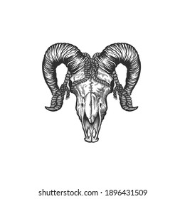 The skull of an animal .Demons skull. Can be used as a sketch of a tattoo.