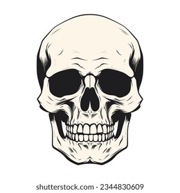 Skull art black danger drawing vector