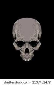 Skull artwork detail with illustration