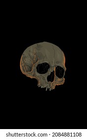 Skull artwork illustration hand drawing