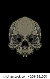 Skull artwork illustration hand drawing