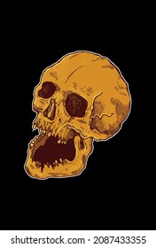  Skull artwork illustration hand drawing