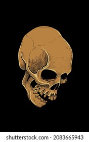 Skull artwork style engraving illustration
