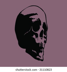 skull b