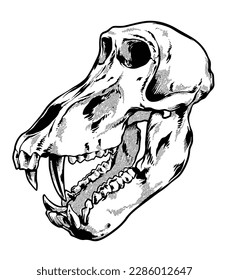 Skull Baboon Hand drawn Sketch Vector illustration black and white