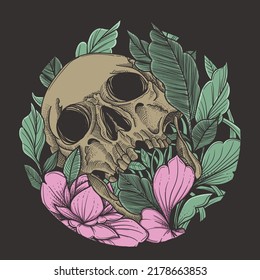 skull with beautiful hand drawn ornament 
